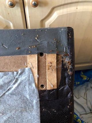 Bed bugs Budget Clean
