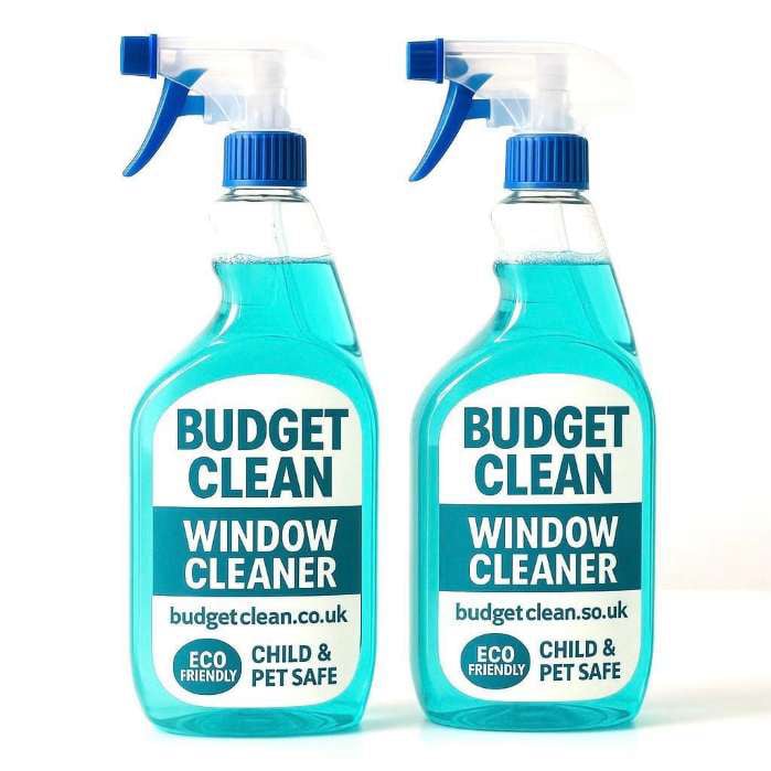 Budget Clean Services